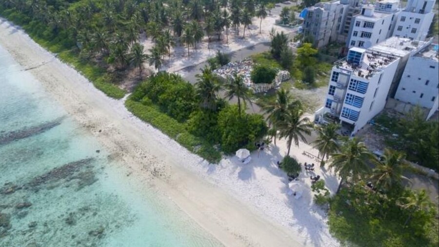 Whiteharp Beach Inn