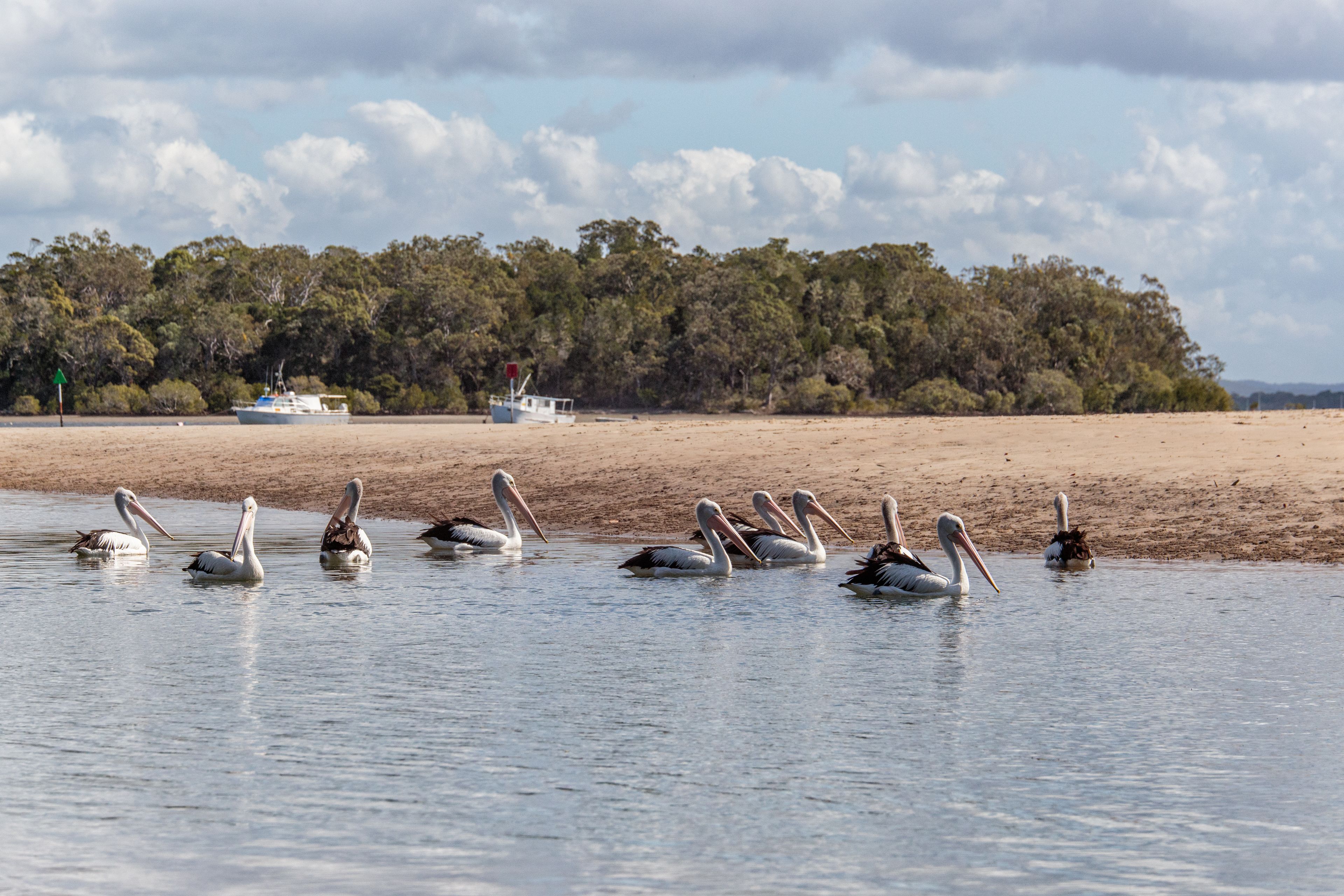 Rainbow Beach Holiday Park