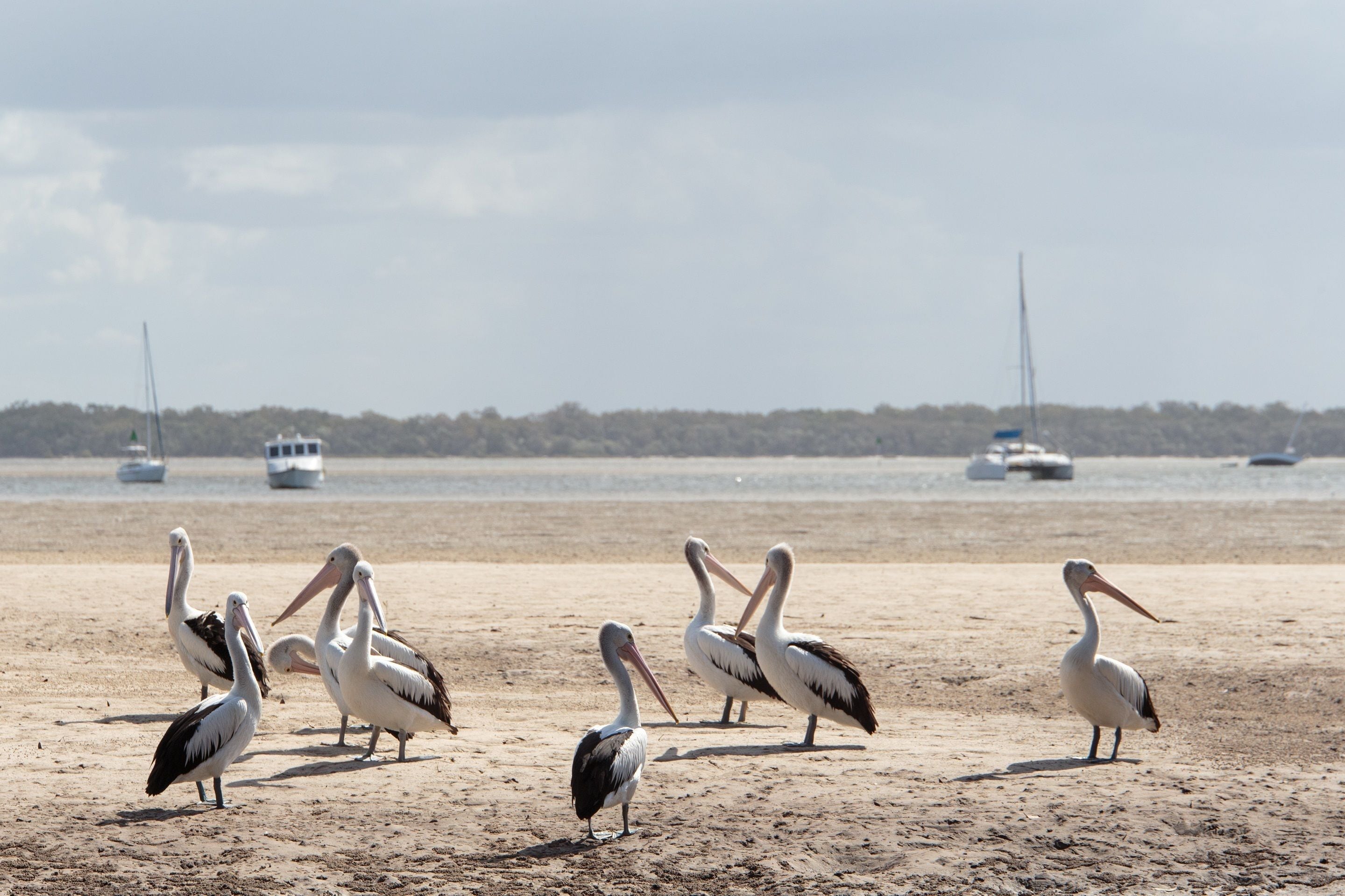 Rainbow Beach Holiday Park
