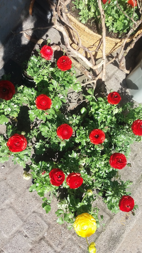 Room Deals for B&B Golden Lion, Bouillon starting at Hotwire