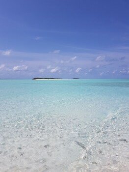 Rasdhoo View Inn Deals Reviews Rasdhoo Mdv Wotif - 