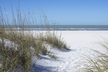Apollo Beach Hotels Book In Expedia Updated Waterfront Tampa Home By Redawning