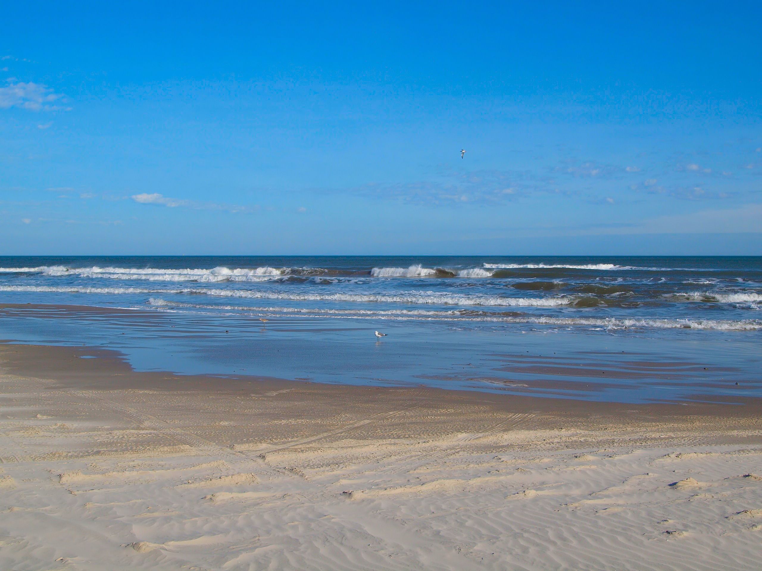 Casa Diga At Beach Haven By Redawning In Corpus Christi Tx Expedia