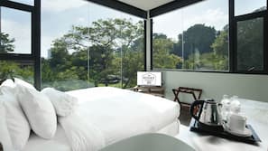 In-room safe, iron/ironing board, free WiFi