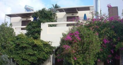Doma Apartments