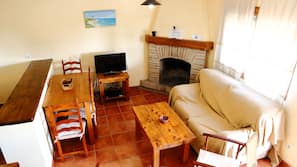 Una televisión de pantalla plana, una chimenea
