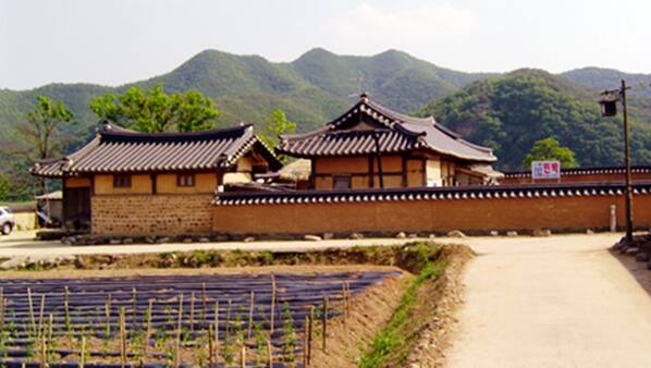 대표 사진