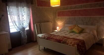 B&B Acquaria