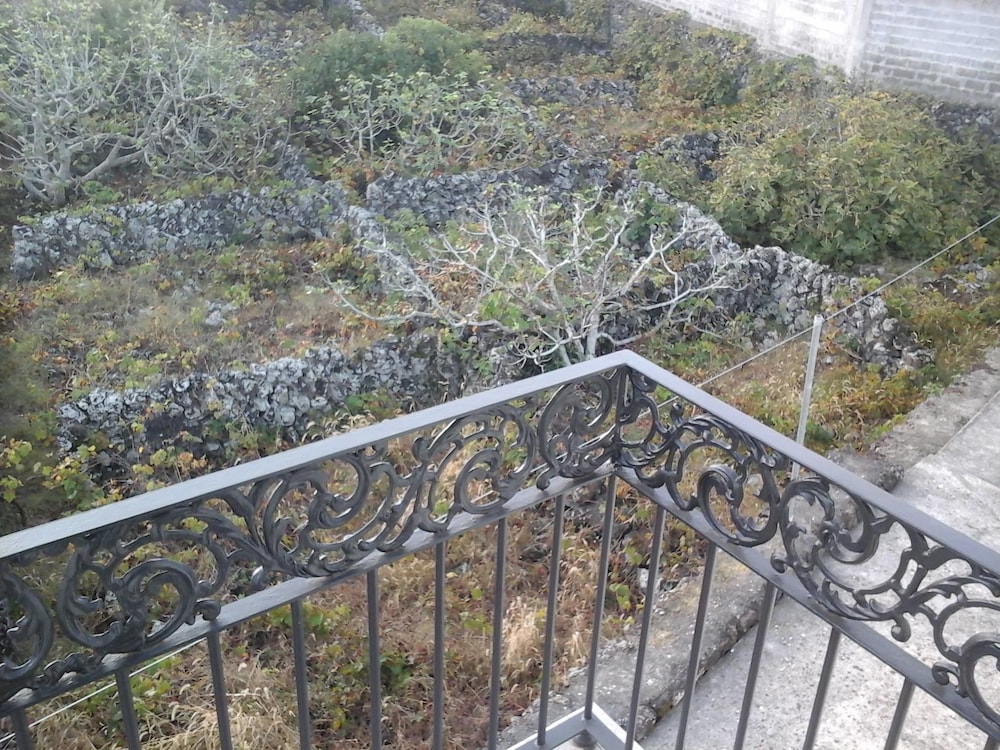 Foto - Hotel Branco II