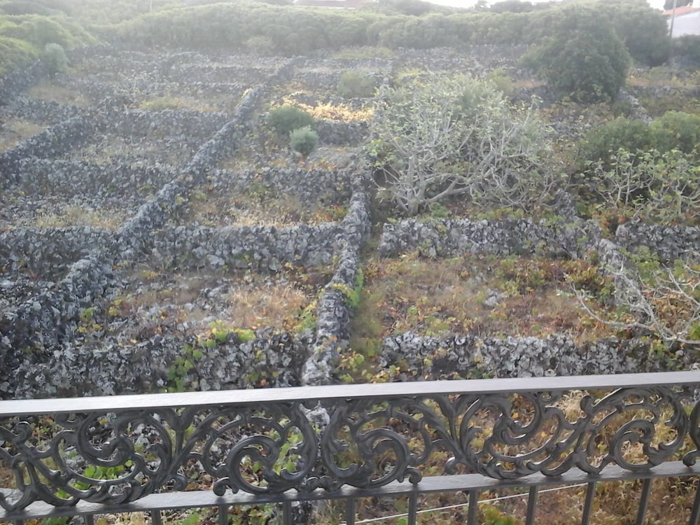 Foto - Hotel Branco II