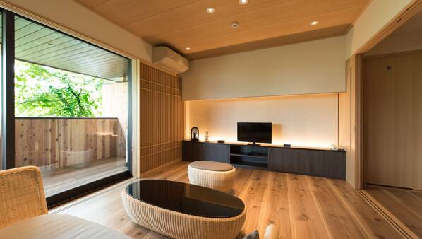 Flat-screen TV