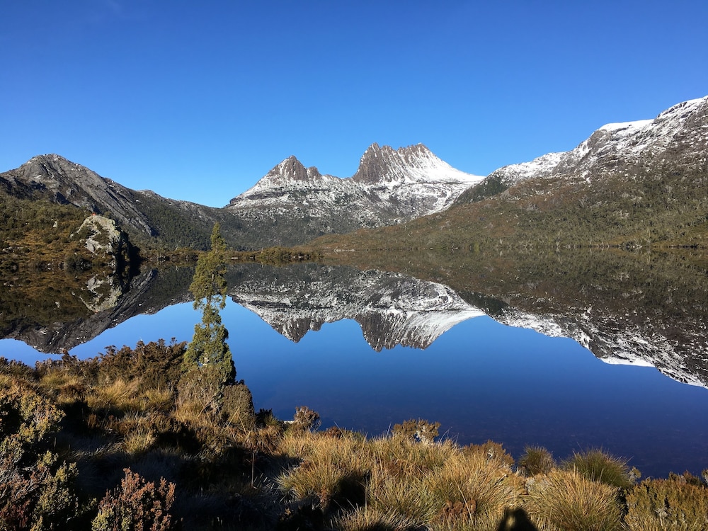 Boscobel of Tasmania