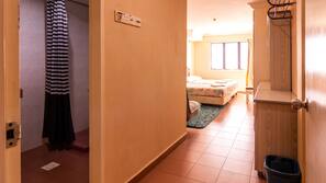 Desk, iron/ironing board, free WiFi