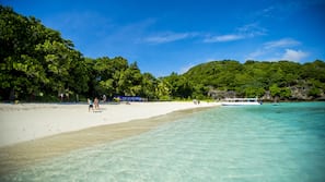 Beach nearby, snorkelling, beach bar, kayaking