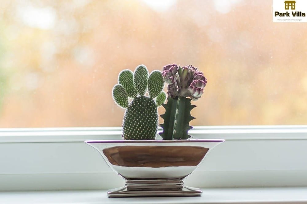 Park Villa Apartments in Bad Kissingen Best Rates & Deals on Orbitz