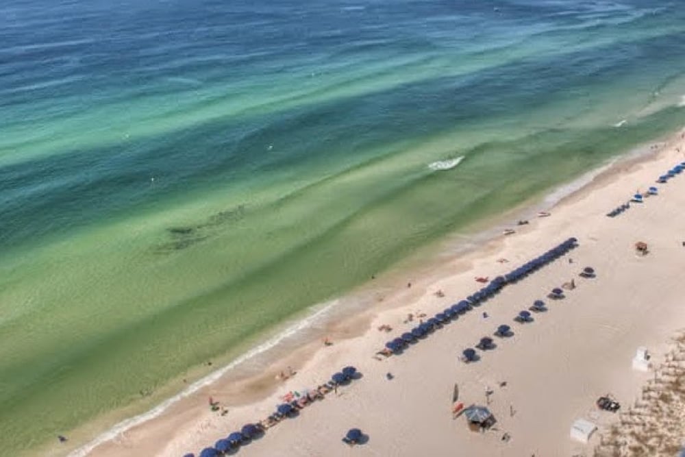 Dr Fix It Panama City Beach Dr Fix It Panama City Beach