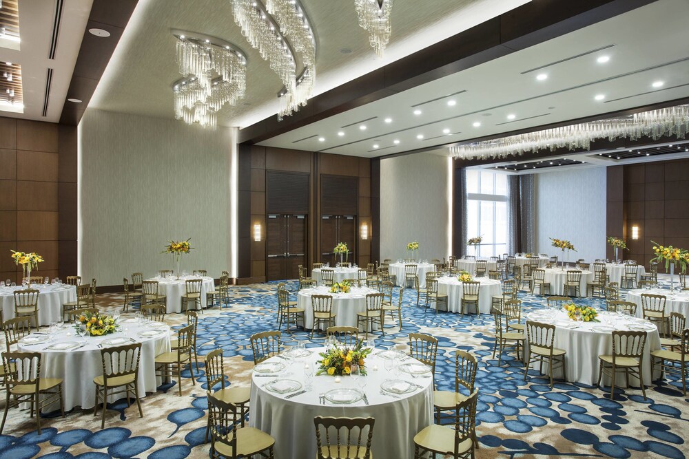 The Westin Sarasota in Sarasota | Best Rates & Deals on Orbitz