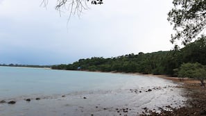 Bãi biển
