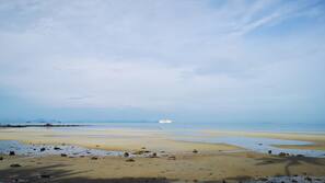 Plage à proximité, kayak