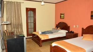 Minibar, desk, iron/ironing board, free WiFi