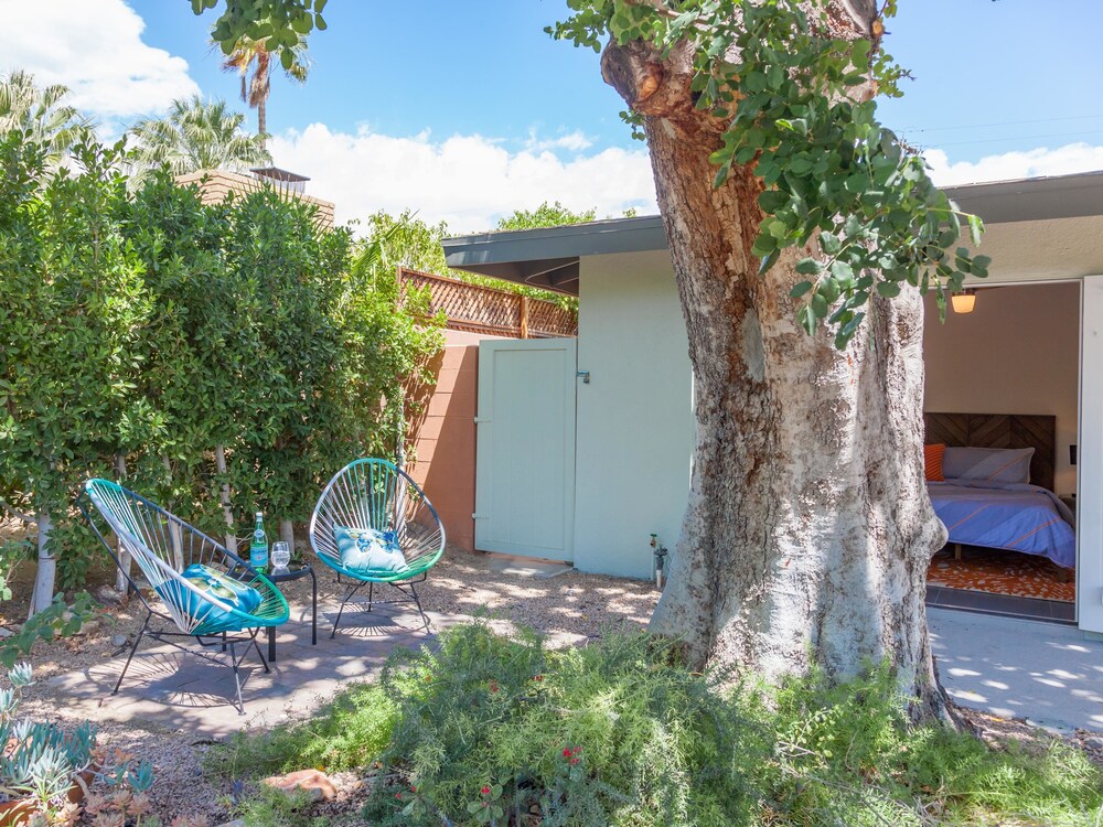 The Nest, Palm Springs Room Prices & Reviews Travelocity