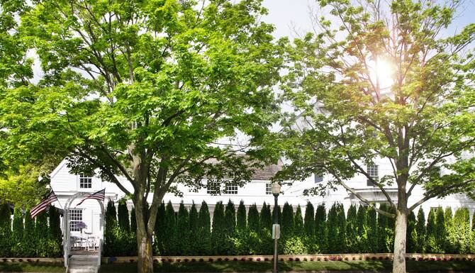 Maison Vivienne Southampton In Southampton Ny Expedia