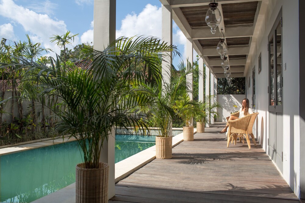 Photo - The Peacock Inn