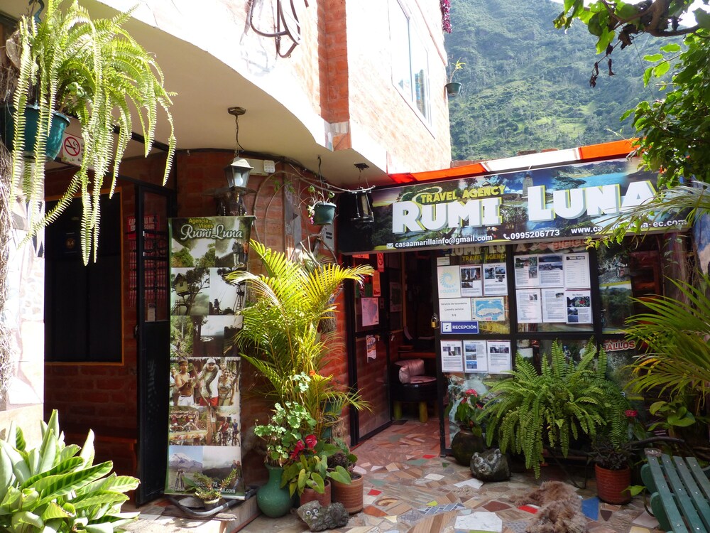 Exterior detail, Hotel La Casa Amarilla City