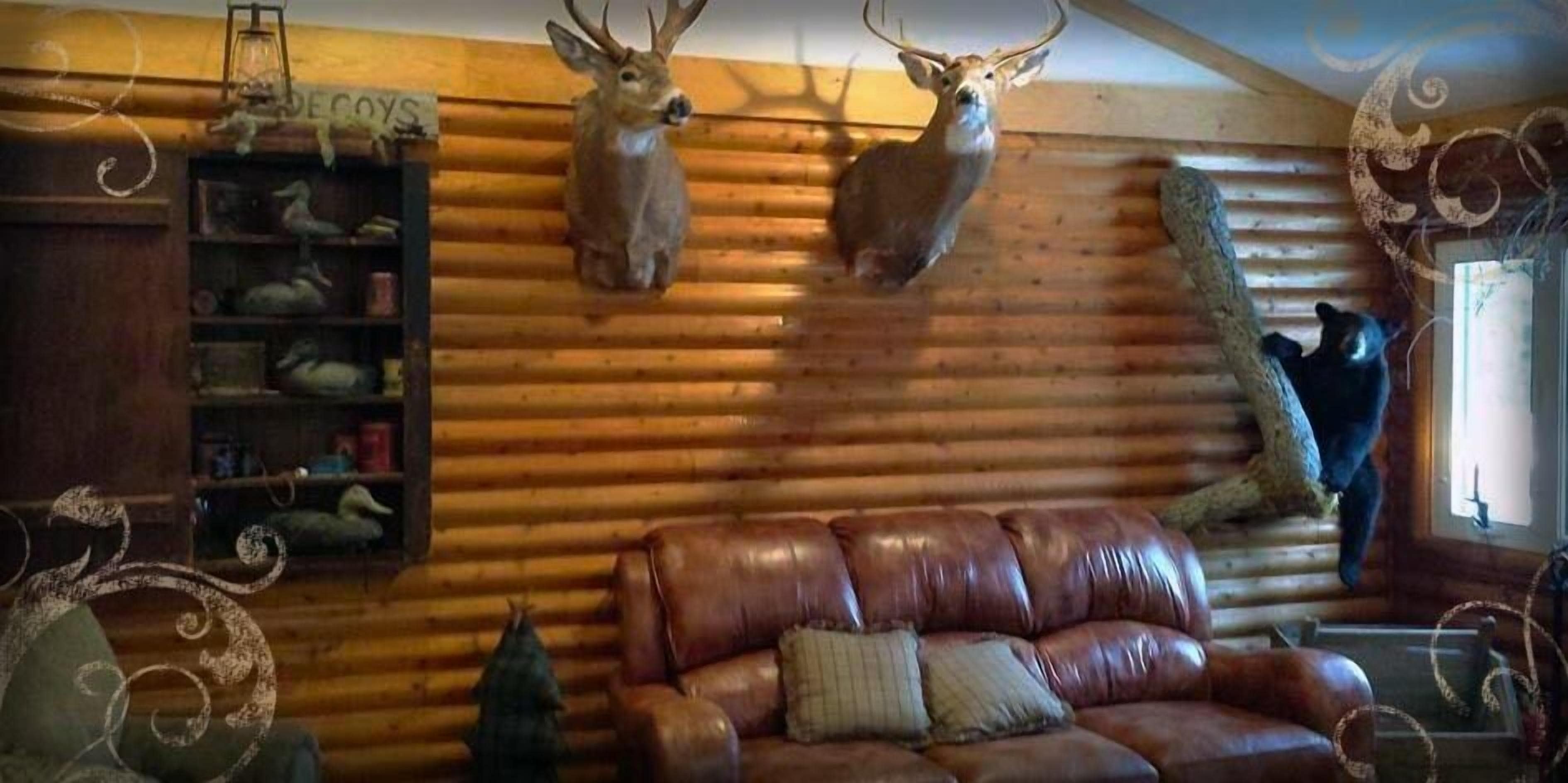 DEER MOUNTAIN LODGE & WILDERNESS RESORT in Dummer, United States
