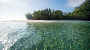 บนชายหาด