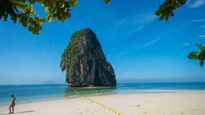 บนชายหาด