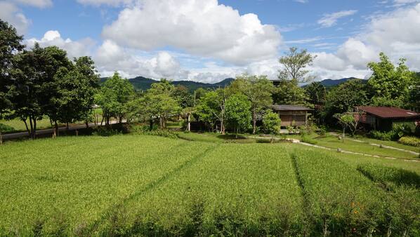รูปเด่น