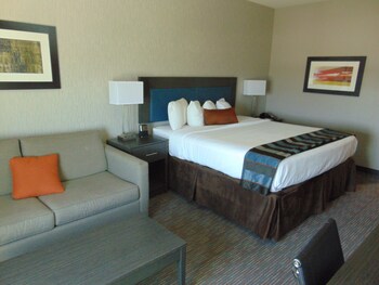 Wingate By Wyndham Lubbock Near Texas Tech Univ Medical Ctr - 