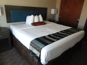 Wingate By Wyndham Lubbock Near Texas Tech Univ Medical Ctr - 