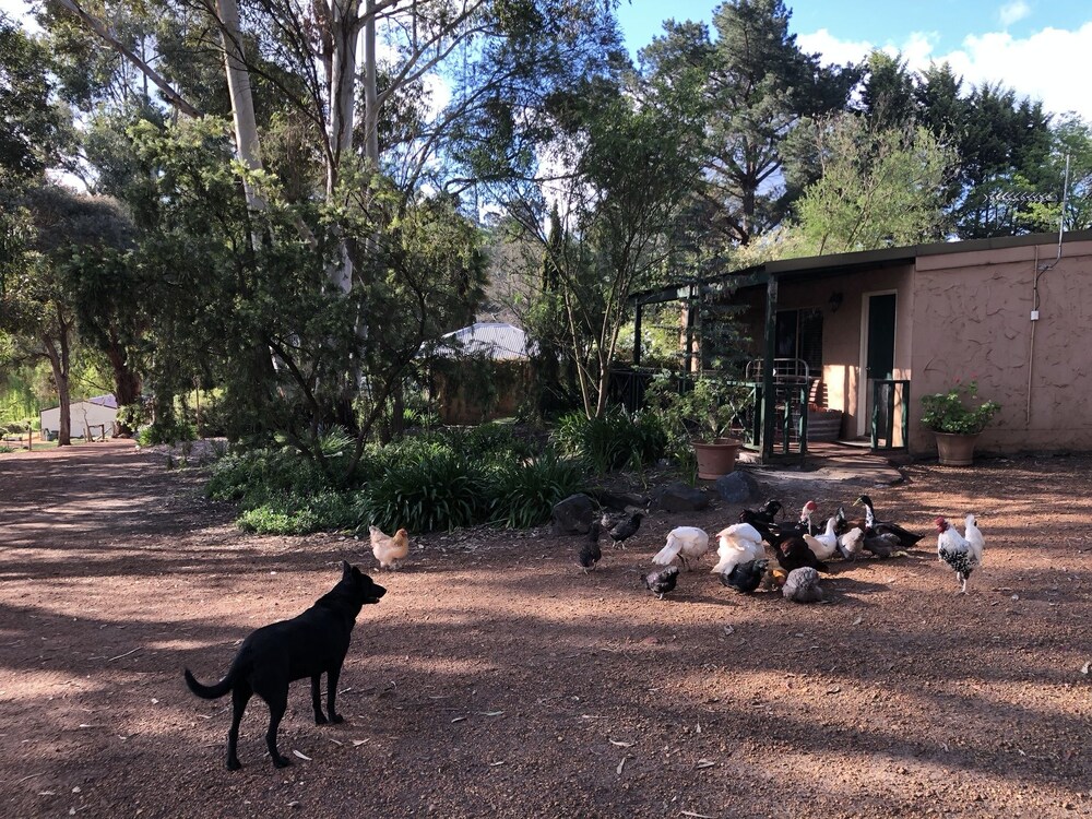 Country Cottages of Bridgetown