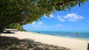 Plage, chaises longues, serviettes de plage