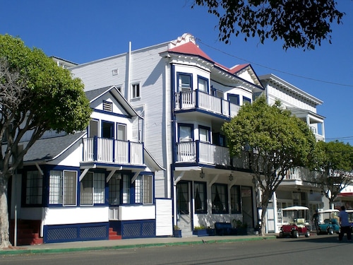 Pet Friendly Hotels In Catalina Island Dog From Hermosa Hotel