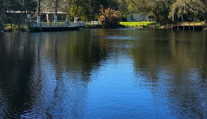 Old Owl S Nest In Crystal River Fl Expedia