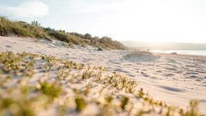 Nära stranden