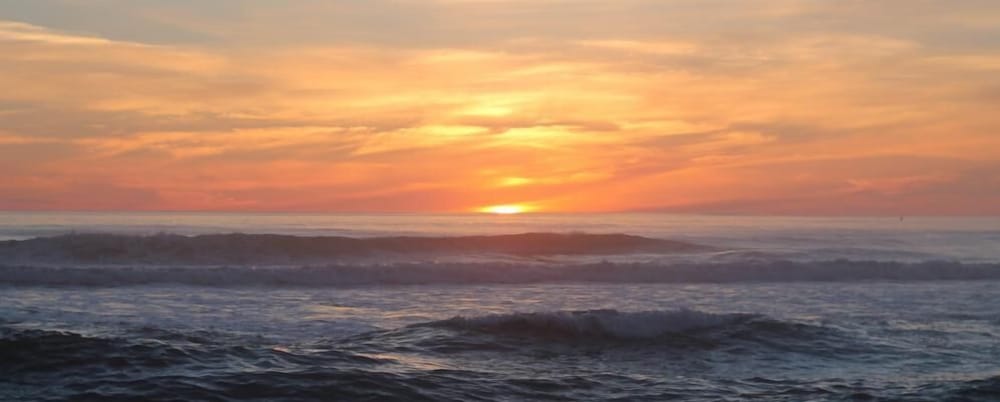 Sea Mist Cottage 2019 Room Prices Deals Reviews Expedia