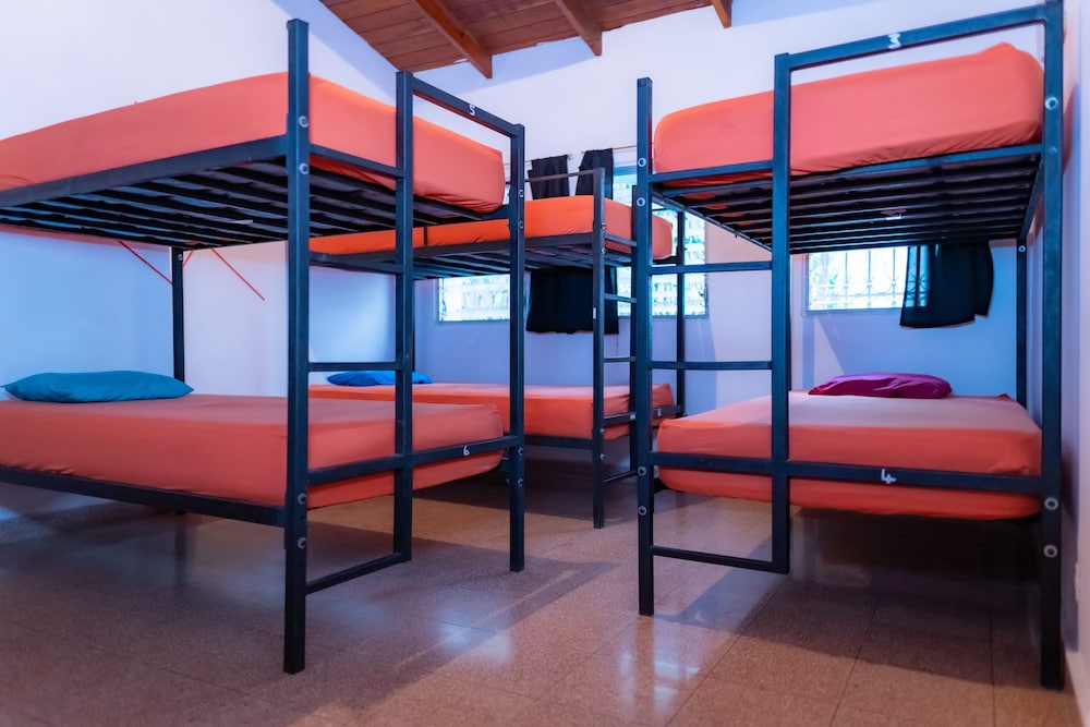 Foto - Zebulo Hostel