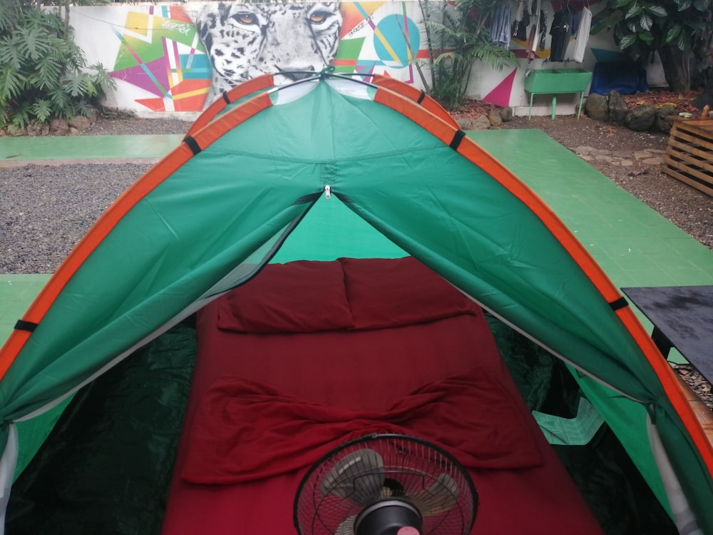 Foto - Zebulo Hostel