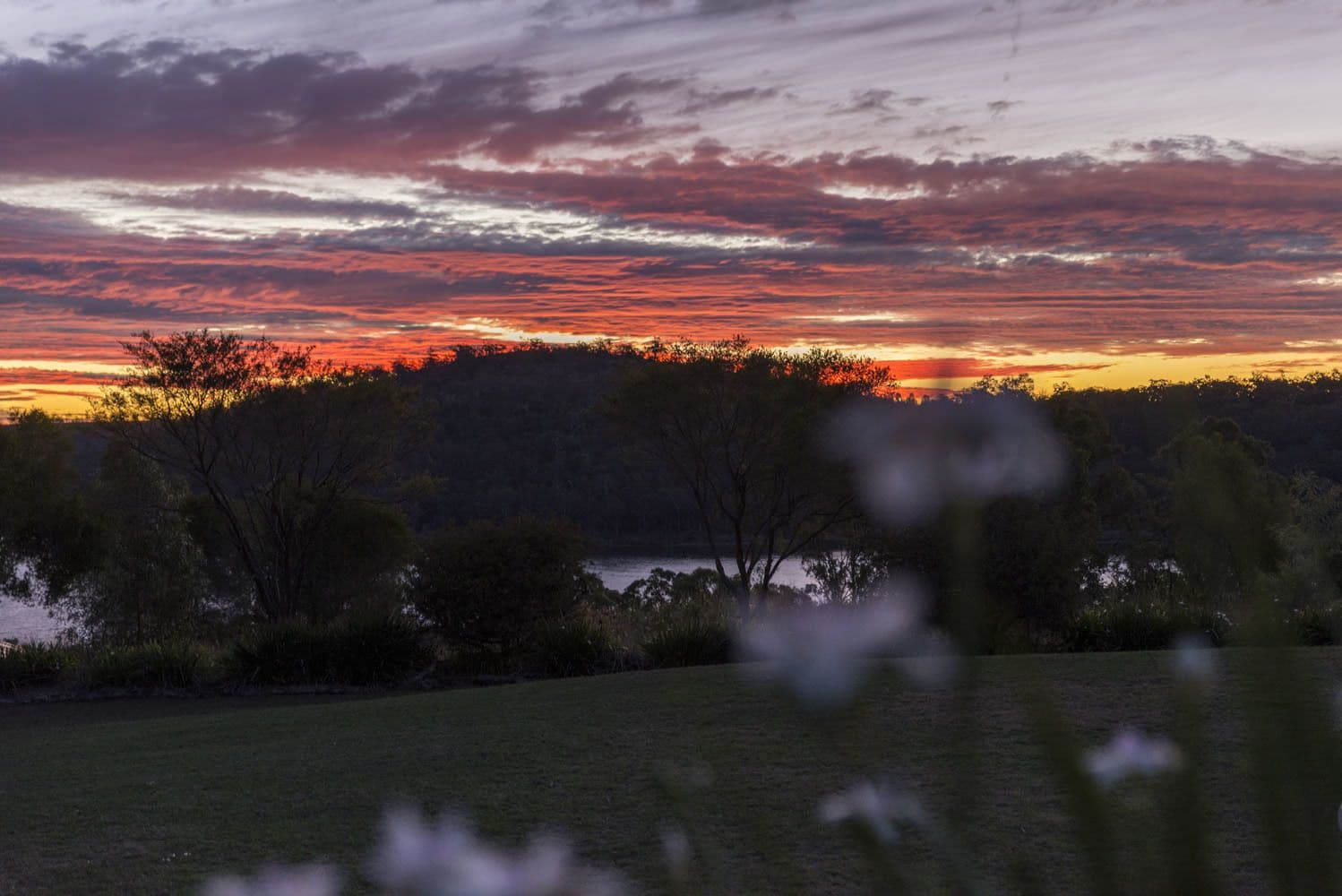 Reflections - Lake Cooby