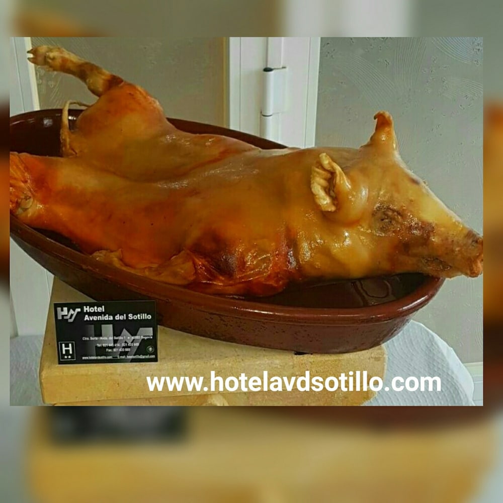 Imagen de Hotel Avenida del Sotillo (11 de 23)