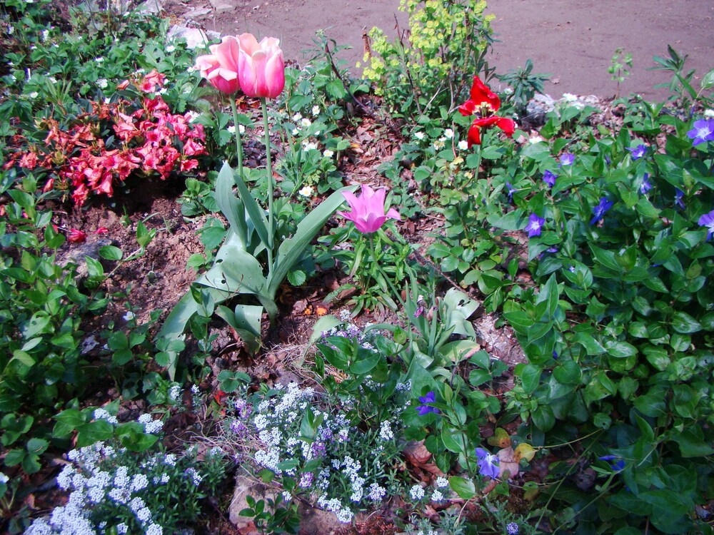 Le Jardin De Saint Jean In Saint Jean Aux Bois Hotel Rates Reviews On Orbitz