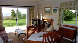 Fernseher, Kamin