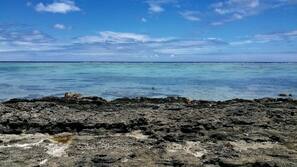 Beach nearby, white sand, snorkeling, kayaking