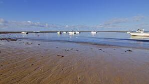 Plage à proximité