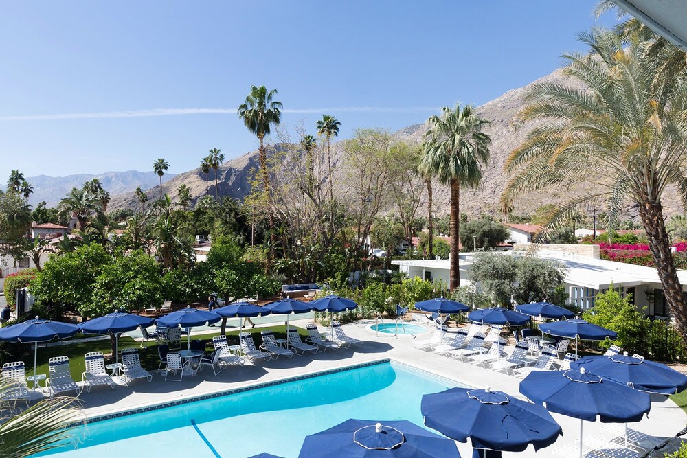 Palm Springs Hotels >> Holiday House Palm Springs In Palm Springs Hotel Rates Reviews Palm Springs Hotels >> Holiday House Palm Springs In Palm Springs Hotel Rates Reviews