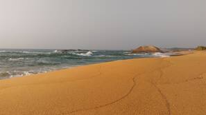 Private beach, sun-loungers